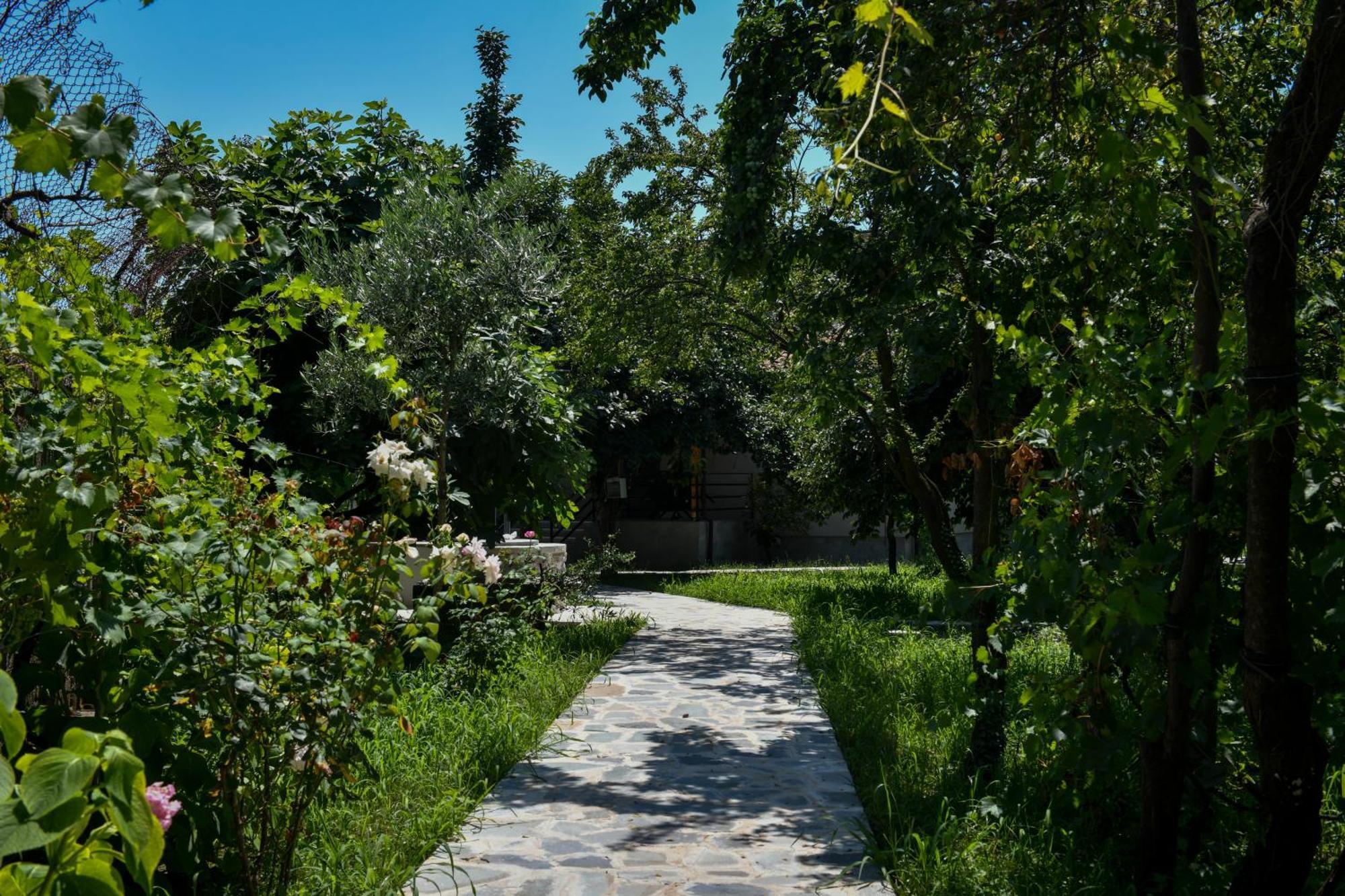 Nicolaus Hidden Gem Villa Shkodër Екстериор снимка